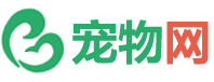 宠物网